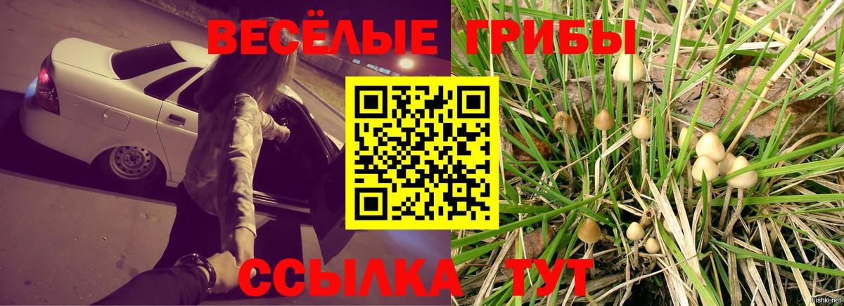 Псилоцибиновые грибы мицелий Кировск